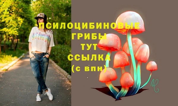 стафф Абинск