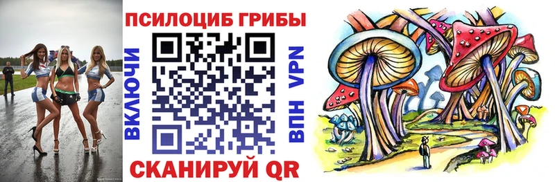 блэк спрут как зайти  Бирюсинск  Галлюциногенные грибы мицелий 
